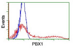 Monoclonal Mouse anti-Human PBX1 Antibody (clone OTI1C11, IHC, IF, WB)