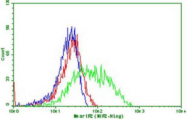Monoclonal Mouse anti-Human PDCD1 / CD279 / PD-1 Antibody (clone OTI21F5, IF, WB)