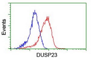 DUSP23 Antibody (clone OTI3C10)