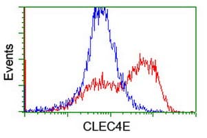 CLEC4E / MINCLE Antibody (clone OTI2A8, Carrier-free)