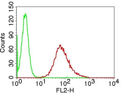 LGALS1 / Galectin 1 Antibody