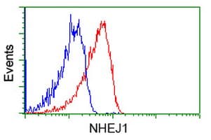 NHEJ1 / XLF Antibody (clone OTI1G7, Carrier-free)