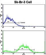 PTAR1 Antibody (aa60-89)