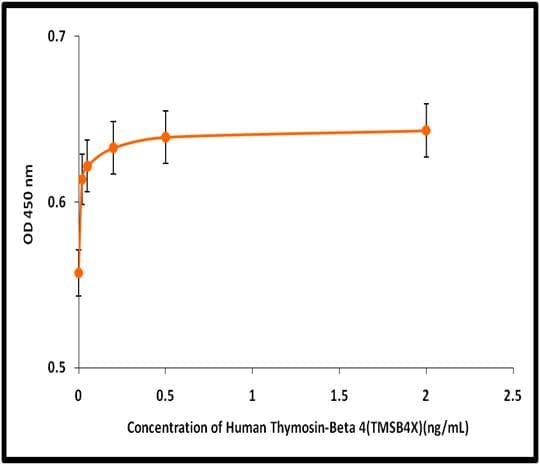 Human TMSB4X / Thymosin Beta-4 Protein (Recombinant)