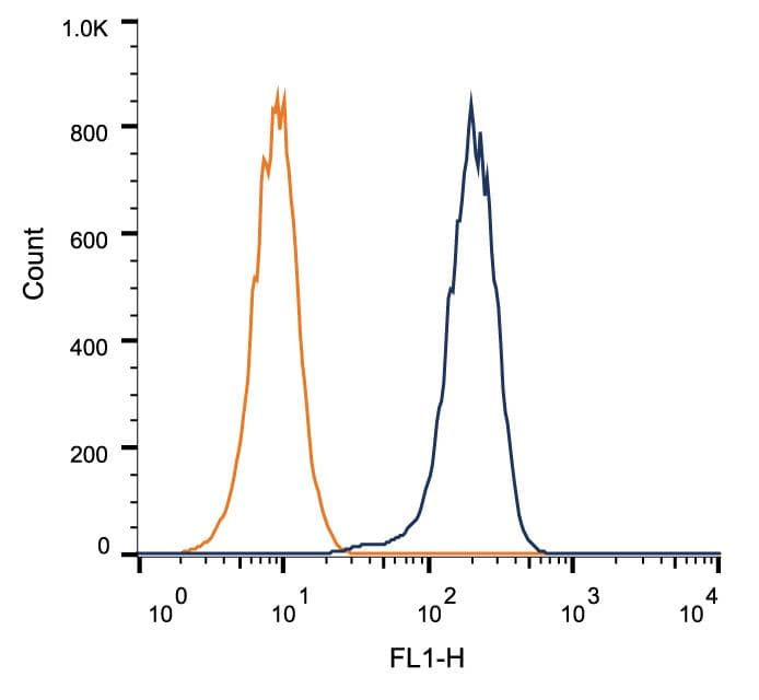 SIRT1 / Sirtuin 1 Antibody (clone 1F3)