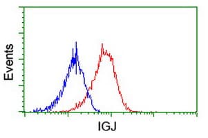 JCHAIN / Ig J Chain Antibody (clone 3B3, Carrier-free)