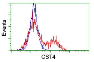 CST4 / Cystatin S Antibody (clone OTI2H10)