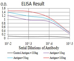 NR1I2 / PXR Antibody (clone 6H11D8)