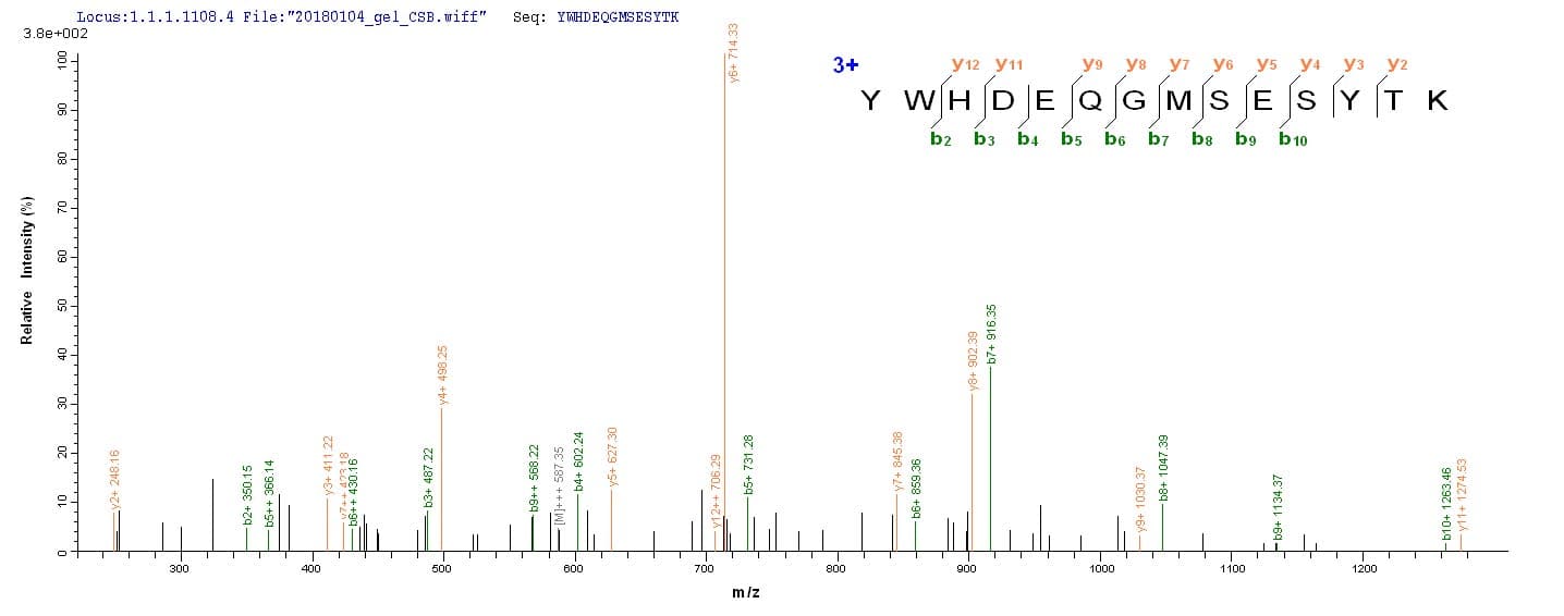 Human Immunodeficiency Virus 2 vpx Protein (Recombinant 6His-SUMO, N-terminus)