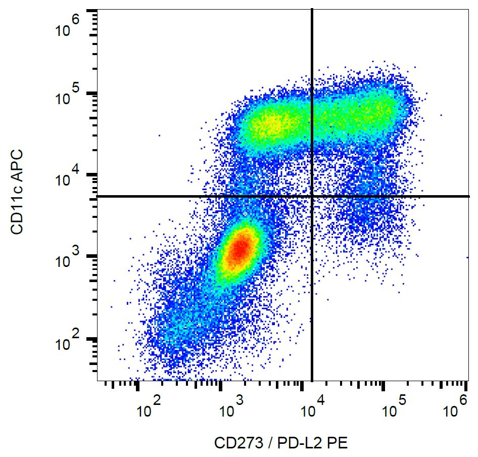 PD-L2 / PDCD1LG2 / CD273 Antibody (clone 24F.10C12, PE)