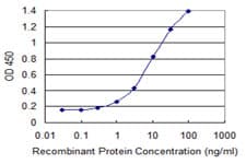 HUS1 Antibody (clone 2B12)