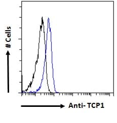 IHC-plus™ TCP1 Antibody (aa544-556)