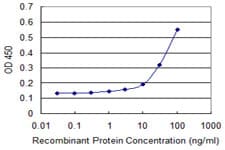 HOXD3 Antibody (clone 1B12)