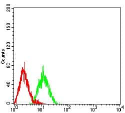 Monoclonal Mouse anti-Human LRP3 Antibody (clone 7B3A5E9, WB)