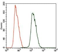 Monoclonal Mouse anti-Human ALDH2 Antibody (clone 4G6A3, Amino Acid: 317-517, IHC, IF, WB)