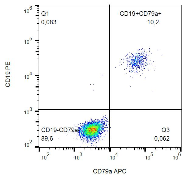 Monoclonal Mouse anti-Human CD79A / CD79 Alpha Antibody (clone HM47, APC, IHC, WB)