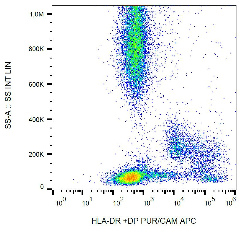 IHC-plus™ Monoclonal Mouse anti-Human HLA-DP/DR Antibody (clone HL-38, IHC, WB)
