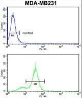 CPN2 Antibody (aa74-103)