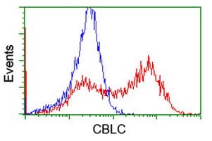 CBLC Antibody (aa244-474, clone OTI3B4, Carrier-free)