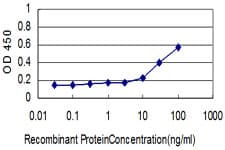 Monoclonal Mouse anti-Human ORC2L / ORC2 Antibody (clone 3E11-1G5, WB)
