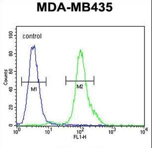 Polyclonal Rabbit anti-Human MYCT1 Antibody (aa135-163, WB)