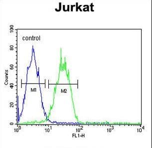 ARGLU1 Antibody (aa48-74)