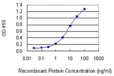 Monoclonal Mouse anti-Human p16INK4a / CDKN2A Antibody (clone 3F3, WB)