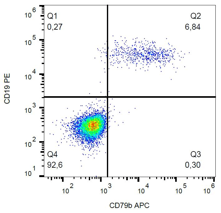 Monoclonal Mouse anti-Human CD79B / CD79 Beta Antibody (clone CB3-1, APC, WB)