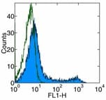 Monoclonal Mouse anti-Rat THY1 / CD90 Antibody (clone HIS51, FITC)