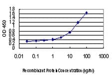 IHC-plus™ CDC123 Antibody (clone 4B9)