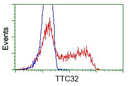 TTC32 Antibody (clone OTI5B6)