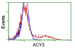 ACY3 Antibody (clone OTI2G2)