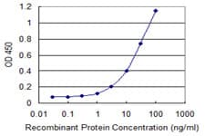 Monoclonal Mouse anti-Human ANGPT4 / Angiopoietin-4 Antibody (clone 1B7, WB)