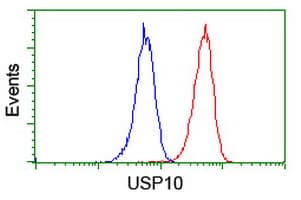 USP10 Antibody (clone OTI1H9)