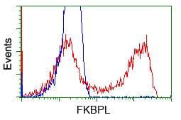 FKBPL Antibody (clone OTI4G1)