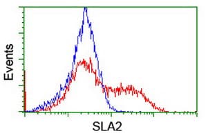 SLA2 / SLAP2 Antibody (clone OTI1D2, Carrier-free)