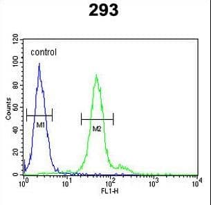 Polyclonal Rabbit anti-Human DDX23 / PRP28 Antibody (aa248-277, IHC, WB)