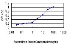 IHC-plus™ Monoclonal Mouse anti-Human SERPING1 / C1 Inhibitor Antibody (clone 3F4-1D9, IHC, WB)
