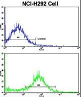 VTI1A Antibody (aa140-169)