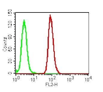 IHC-plus™ Monoclonal Mouse anti-Human DDX58 / RIG-1 / RIG-I Antibody (clone ABM4H29, aa1-220, IHC, WB)