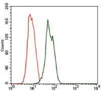 Monoclonal Mouse anti-Human RAB4A / RAB4 Antibody (clone 4E+11, IHC, WB)