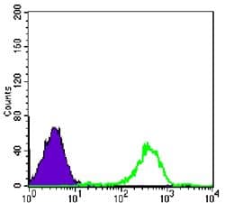 FAK / Focal Adhesion Kinase Antibody (clone 10H7E9)