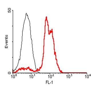 Monoclonal Mouse anti-Human ACE2 / ACE-2 Antibody (clone AC18F, IHC, WB)