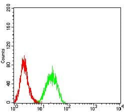 BTN1A1 Antibody (clone 4B11B3)