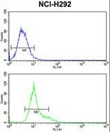 GSTO1 Antibody (aa126-155)