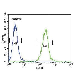 SPINK5 / LEKTI Antibody (aa188-217)