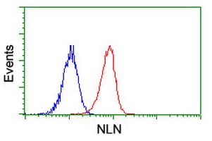 NLN / Neurolysin Antibody (clone OTI2H1, Carrier-free)
