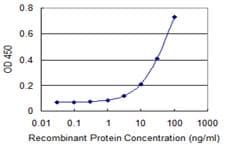 IHC-plus™ Monoclonal Mouse anti-Human UBE1L2 / UBE1L2 Antibody (clone 1D11, IHC, WB)
