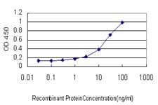 PRELID1 Antibody (clone 7B4)