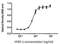 Human FGF1 / Acidic FGF Protein (Recombinant)